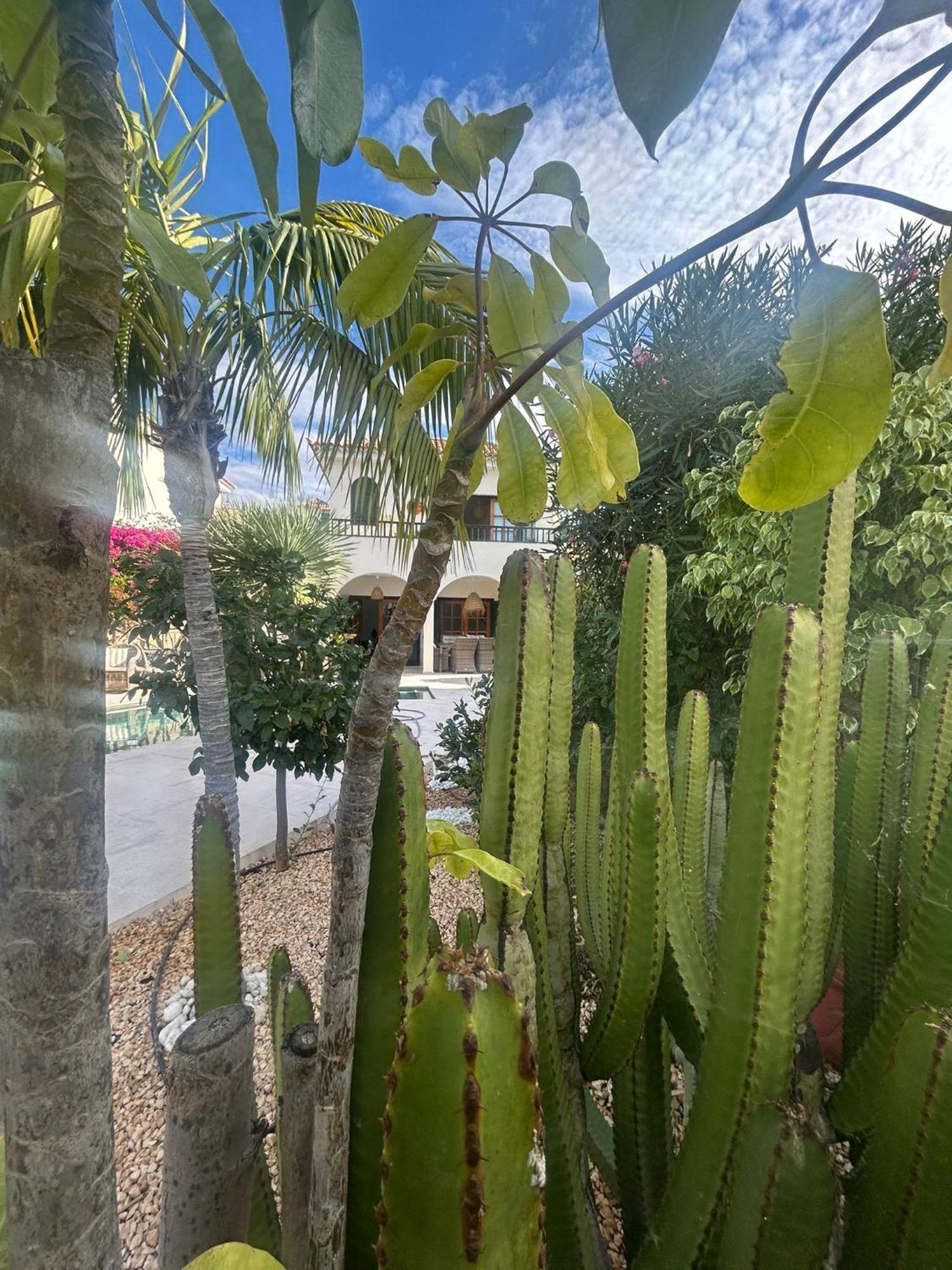 Chayofa Villa Ibiza - Beautiful House With Private Pool מראה חיצוני תמונה