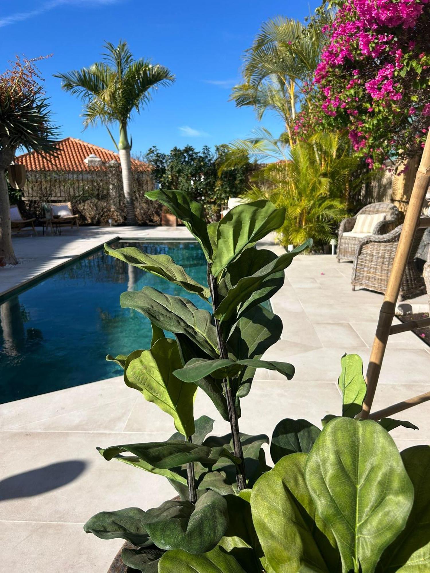 Chayofa Villa Ibiza - Beautiful House With Private Pool מראה חיצוני תמונה