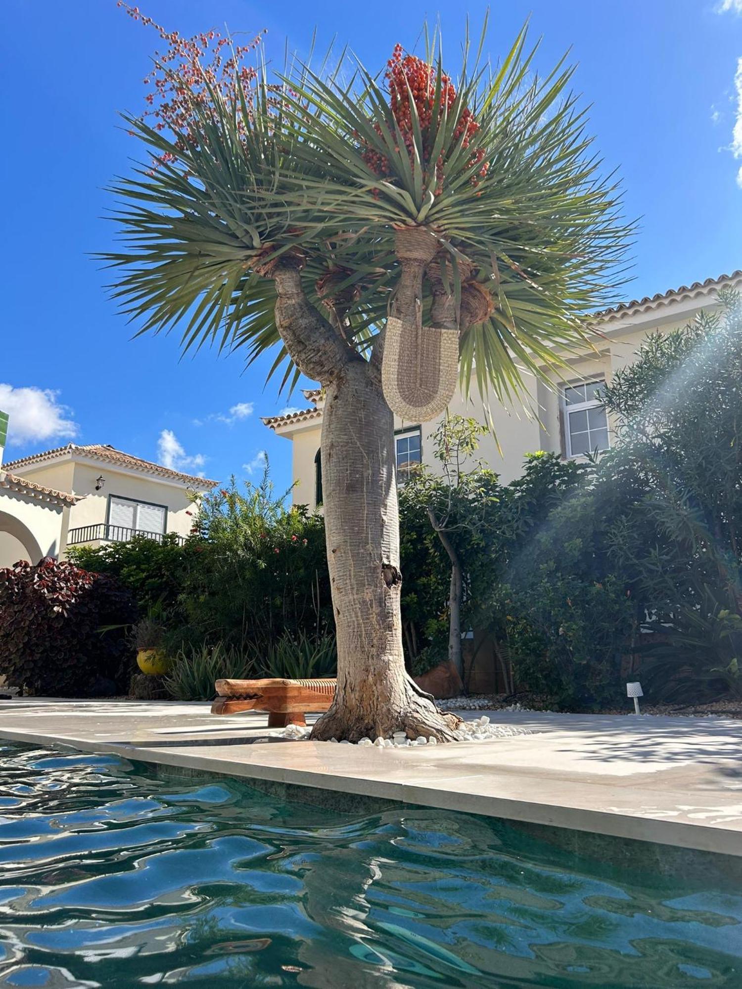 Chayofa Villa Ibiza - Beautiful House With Private Pool מראה חיצוני תמונה