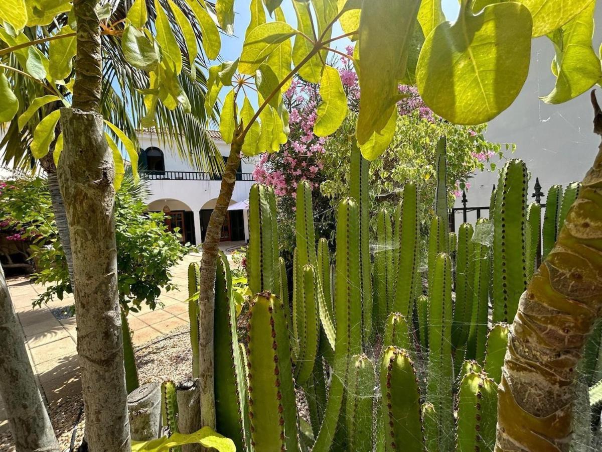 Chayofa Villa Ibiza - Beautiful House With Private Pool מראה חיצוני תמונה